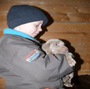 Welpen