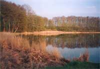 See mit Park in L&uuml;bzin