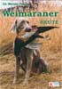 Weimaraner in Mecklenburg-Vorpommern